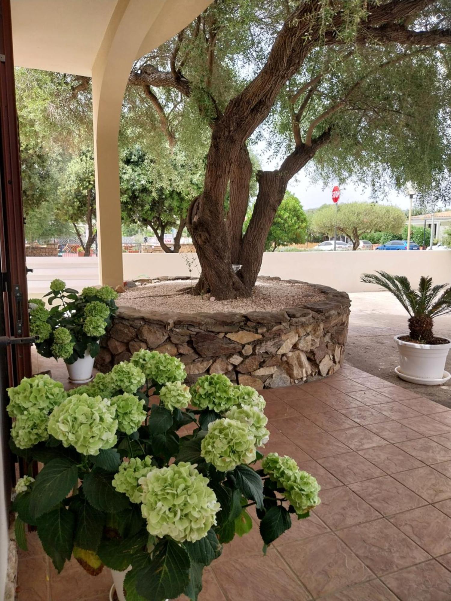 مبيت وإفطار سان تيودورو Mivida "Le Stanze Di Ada" المظهر الخارجي الصورة
